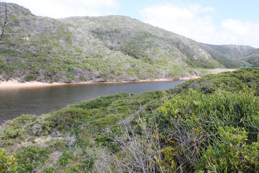 0 Bedroom Property for Sale in Moquini Coastal Estate Western Cape